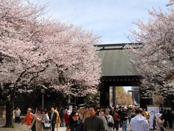 イメージカタログ トップ 100 東京 イチョウ 標本木 イメージカタログ トップ 100 東京 イチョウ 標本木
