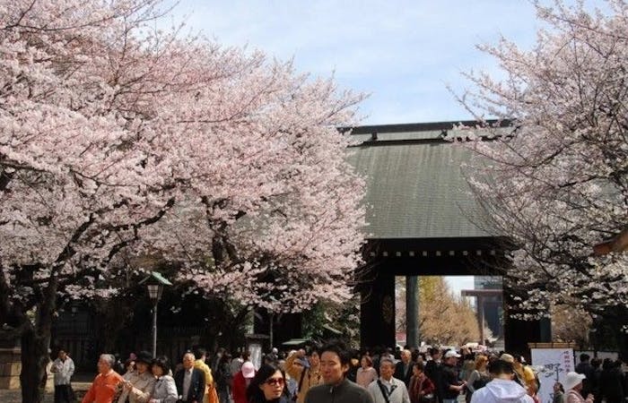 九段下 後楽園お花見21 九段下 後楽園 情緒あふれる桜景色を満喫 お花見おすすめ人気スポット30選 一休 Comレストラン 九段下 後楽園お花見21 九段下 後楽園 情緒あふれる桜景色を満喫 お花見おすすめ人気スポット30選 一休 Comレストラン