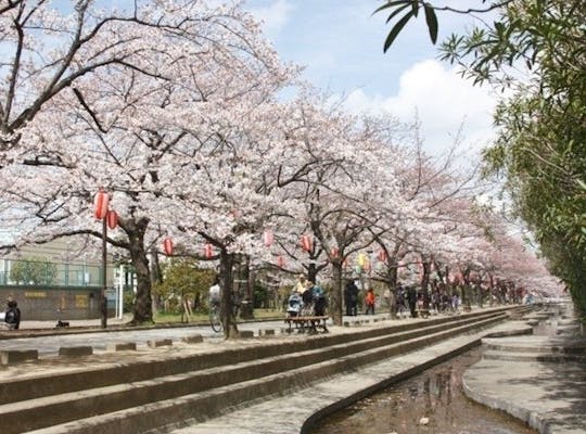 呑川緑道 呑川親水公園 東京 二子玉川 人気お花見スポット 一休 Comレストラン 呑川緑道 呑川親水公園 東京 二子玉川 人気お花見スポット 一休 Comレストラン