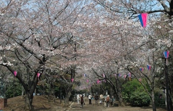 王子お花見21 王子 情緒あふれる桜景色を満喫 お花見おすすめ人気スポット30選 一休 Comレストラン 王子お花見21 王子 情緒あふれる桜景色を満喫 お花見おすすめ人気スポット30選 一休 Comレストラン