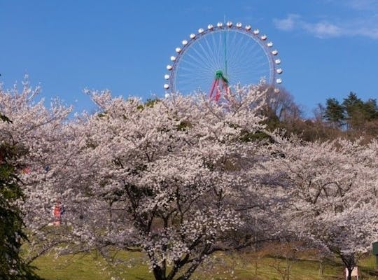 掃部山公園 神奈川 横浜 人気お花見スポット 一休 Comレストラン