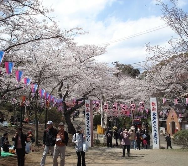 衣笠山公園 神奈川 横須賀 人気お花見スポット 一休 Comレストラン 衣笠山公園 神奈川 横須賀 人気お花見スポット 一休 Comレストラン