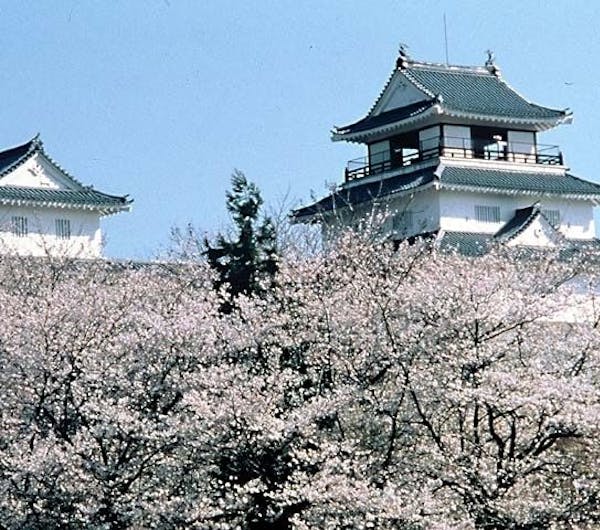 悠久山公園 新潟 長岡 柏崎 人気お花見スポット 一休 Comレストラン