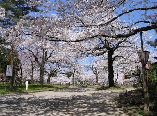 倶利伽羅県定公園 富山 砺波 小矢部 人気お花見スポット 一休 Comレストラン