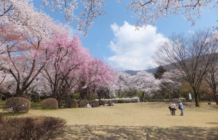 砺波 小矢部お花見21 砺波 小矢部 情緒あふれる桜景色を満喫 お花見おすすめ人気スポット14選 一休 Comレストラン
