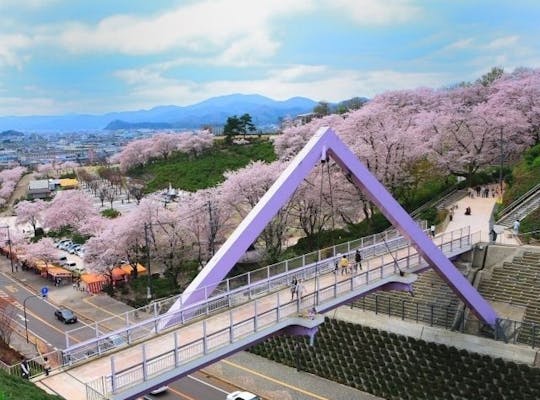 神子の山桜 福井 若狭 人気お花見スポット 一休 Comレストラン 神子の山桜 福井 若狭 人気お花見スポット 一休 Comレストラン