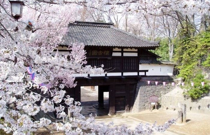 軽井沢 佐久 小諸お花見21 軽井沢 佐久 小諸 情緒あふれる桜景色を満喫 お花見おすすめ人気スポット5選 一休 Comレストラン 軽井沢 佐久 小諸お花見21 軽井沢 佐久 小諸 情緒あふれる桜景色を満喫 お花見おすすめ人気スポット5選 一休 Comレストラン
