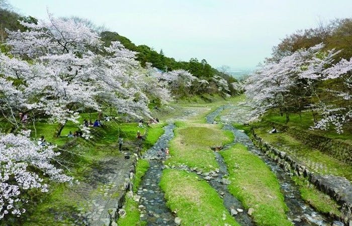 養老お花見 養老 情緒あふれる桜景色を満喫 お花見おすすめ人気スポット19選 一休 Comレストラン 養老お花見 養老 情緒あふれる桜景色を満喫 お花見おすすめ人気スポット19選 一休 Comレストラン