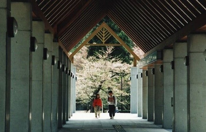 新城お花見 新城 情緒あふれる桜景色を満喫 お花見おすすめ人気スポット9選 一休 Comレストラン