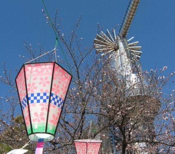 桃山公園 愛知 大府 刈谷 人気お花見スポット 一休 Comレストラン
