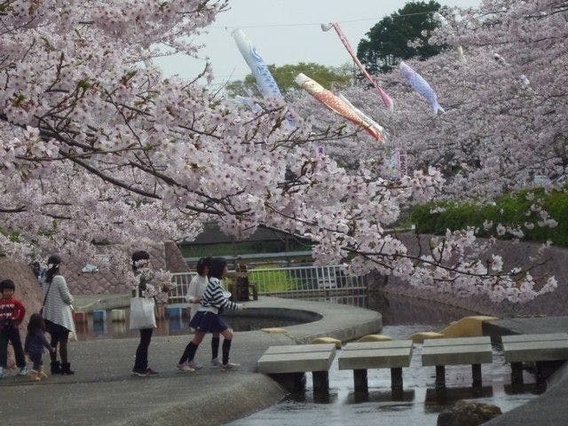 豊橋 豊川 田原お花見 豊橋 豊川 田原 情緒あふれる桜景色を満喫 お花見おすすめ人気スポット9選 一休 Comレストラン