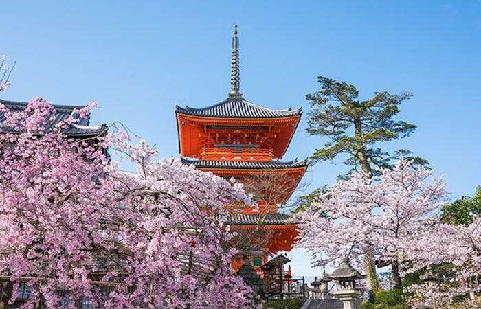 宇治お花見21 宇治 情緒あふれる桜景色を満喫 お花見おすすめ人気スポット30選 一休 Comレストラン 宇治お花見21 宇治 情緒あふれる桜景色を満喫 お花見おすすめ人気スポット30選 一休 Comレストラン