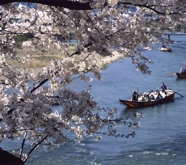 保津峡 京都 亀岡 人気お花見スポット 一休 Comレストラン