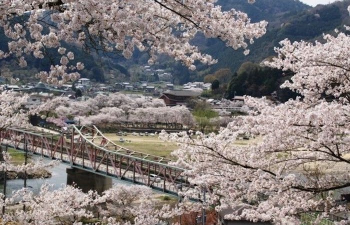 宇治お花見21 宇治 情緒あふれる桜景色を満喫 お花見おすすめ人気スポット30選 一休 Comレストラン 宇治お花見21 宇治 情緒あふれる桜景色を満喫 お花見おすすめ人気スポット30選 一休 Comレストラン