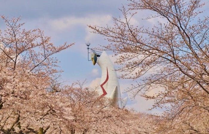 吹田お花見21 吹田 情緒あふれる桜景色を満喫 お花見おすすめ人気スポット30選 一休 Comレストラン 吹田お花見21 吹田 情緒あふれる桜景色を満喫 お花見おすすめ人気スポット30選 一休 Comレストラン