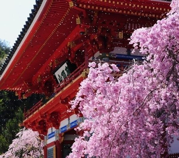 勝尾寺 大阪 箕面 人気お花見スポット 一休 Comレストラン