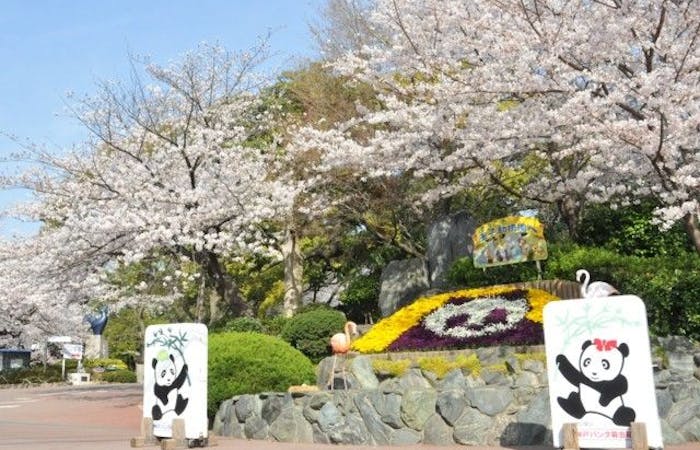 灘お花見21 灘 情緒あふれる桜景色を満喫 お花見おすすめ人気スポット19選 一休 Comレストラン