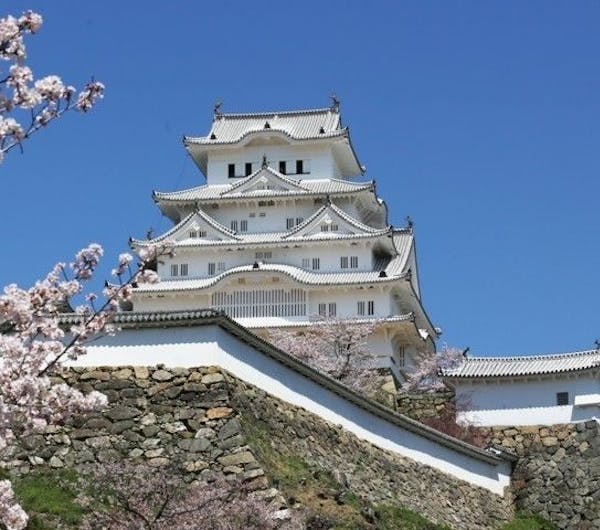 姫路城 兵庫 姫路 人気お花見スポット 一休 Comレストラン 姫路城 兵庫 姫路 人気お花見スポット 一休 Comレストラン