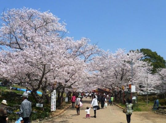 五月山公園 大阪 池田 人気お花見スポット 一休 Comレストラン 五月山公園 大阪 池田 人気お花見スポット 一休 Comレストラン
