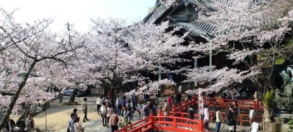 泉佐野お花見 泉佐野 情緒あふれる桜景色を満喫 お花見おすすめ人気スポット14選 一休 Comレストラン