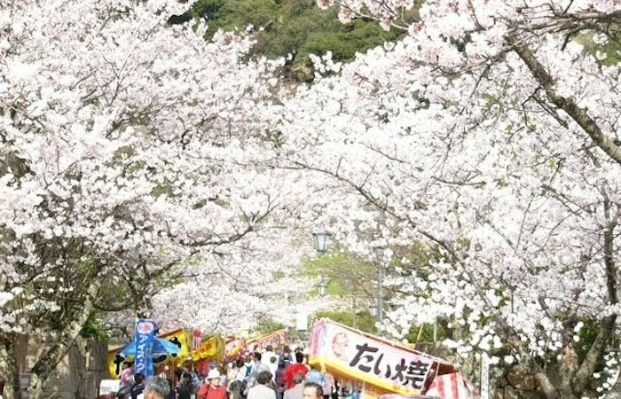 鳥取市お花見 鳥取市 情緒あふれる桜景色を満喫 お花見おすすめ人気スポット6選 一休 Comレストラン