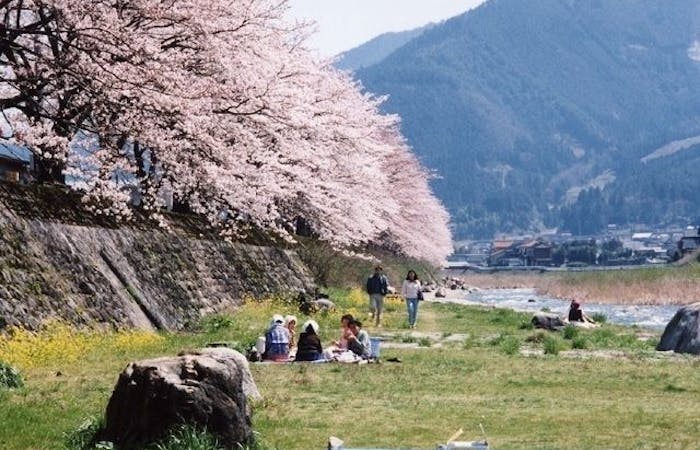 八頭 若桜 智頭お花見 八頭 若桜 智頭 情緒あふれる桜景色を満喫 お花見おすすめ人気スポット6選 一休 Comレストラン