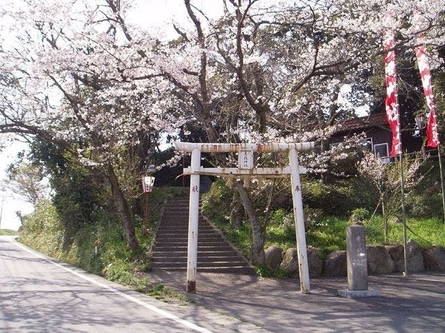 大山お花見21 大山 情緒あふれる桜景色を満喫 お花見おすすめ人気スポット11選 一休 Comレストラン