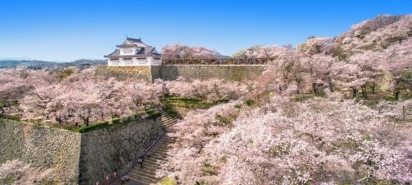 倉敷お花見 倉敷 情緒あふれる桜景色を満喫 お花見おすすめ人気スポット13選 一休 Comレストラン