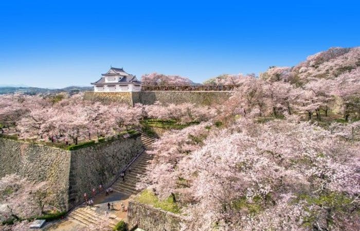 久米南 美咲お花見 久米南 美咲 情緒あふれる桜景色を満喫 お花見おすすめ人気スポット9選 一休 Comレストラン
