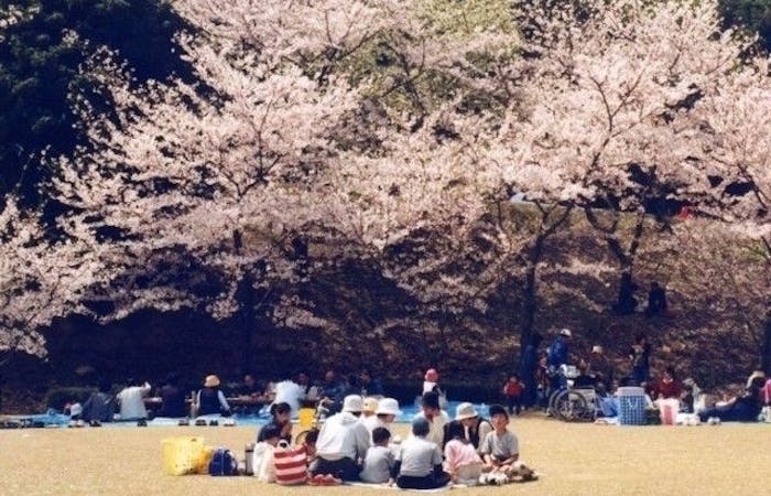 倉敷お花見 倉敷 情緒あふれる桜景色を満喫 お花見おすすめ人気スポット13選 一休 Comレストラン