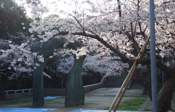 津山 高梁お花見 津山 高梁 情緒あふれる桜景色を満喫 お花見おすすめ人気スポット11選 一休 Comレストラン