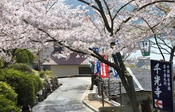 尾道お花見21 尾道 情緒あふれる桜景色を満喫 お花見おすすめ人気スポット8選 一休 Comレストラン 尾道お花見21 尾道 情緒あふれる桜景色を満喫 お花見おすすめ人気スポット8選 一休 Comレストラン