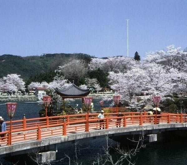 上野公園 広島県 広島 庄原 三次 芸北 人気お花見スポット 一休 Comレストラン