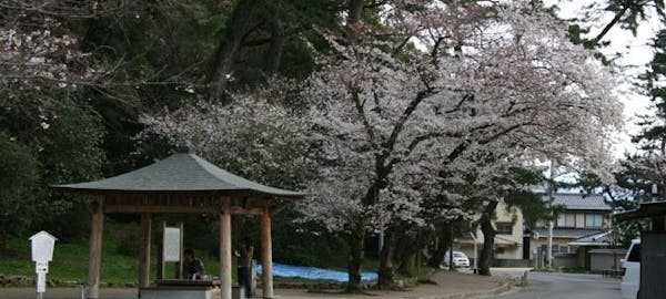 倉敷お花見 倉敷 情緒あふれる桜景色を満喫 お花見おすすめ人気スポット13選 一休 Comレストラン