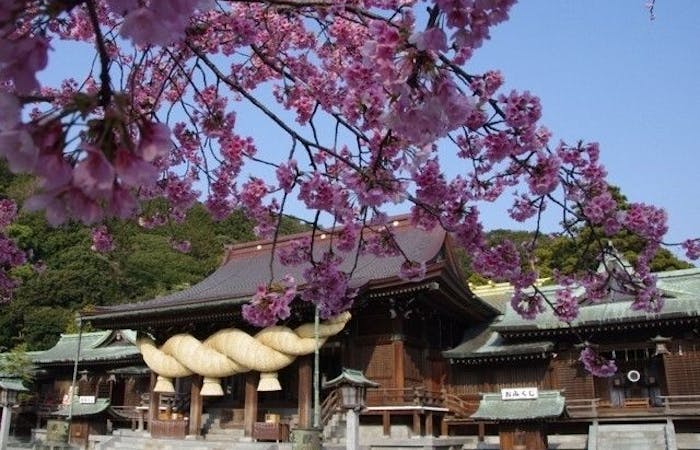 太宰府 宗像お花見21 太宰府 宗像 情緒あふれる桜景色を満喫 お花見おすすめ人気スポット13選 一休 Comレストラン