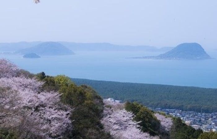 唐津お花見 唐津 情緒あふれる桜景色を満喫 お花見おすすめ人気スポット6選 一休 Comレストラン