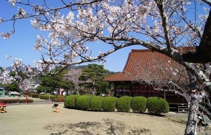 多久 武雄お花見21 多久 武雄 情緒あふれる桜景色を満喫 お花見おすすめ人気スポット8選 一休 Comレストラン 多久 武雄お花見21 多久 武雄 情緒あふれる桜景色を満喫 お花見おすすめ人気スポット8選 一休 Comレストラン
