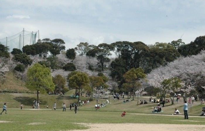 長崎市お花見21 長崎市 情緒あふれる桜景色を満喫 お花見おすすめ人気スポット5選 一休 Comレストラン 長崎市お花見21 長崎市 情緒あふれる桜景色を満喫 お花見おすすめ人気スポット5選 一休 Comレストラン