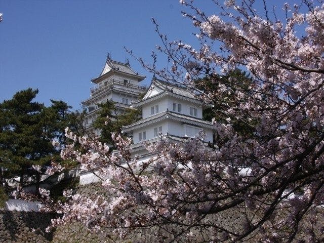島原 雲仙 小浜 情緒あふれる桜景色を満喫 お花見おすすめ人気スポット6選 島原 雲仙 小浜 情緒あふれる桜景色を満喫 お花見おすすめ人気スポット6選