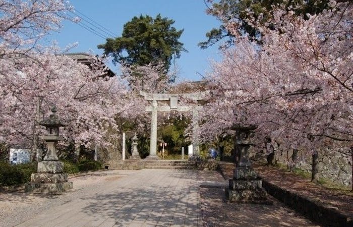 諫早 大村 波佐見お花見21 諫早 大村 波佐見 情緒あふれる桜景色を満喫 お花見おすすめ人気スポット5選 一休 Comレストラン 諫早 大村 波佐見お花見21 諫早 大村 波佐見 情緒あふれる桜景色を満喫 お花見おすすめ人気スポット5選 一休 Comレストラン