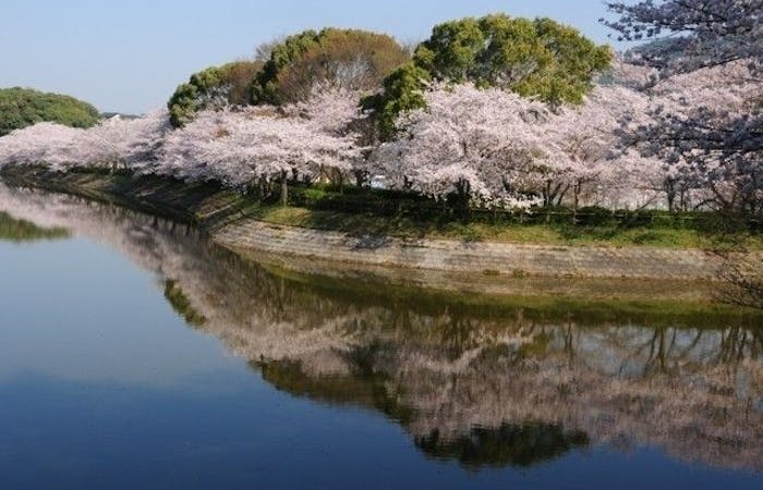 宇土 宇城 美里お花見21 宇土 宇城 美里 情緒あふれる桜景色を満喫 お花見おすすめ人気スポット5選 一休 Comレストラン