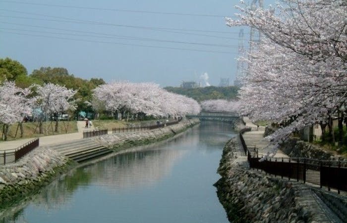 大分市お花見21 大分市 情緒あふれる桜景色を満喫 お花見おすすめ人気スポット8選 一休 Comレストラン