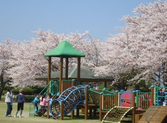 丸岡公園 鹿児島 霧島市 人気お花見スポット 一休 Comレストラン