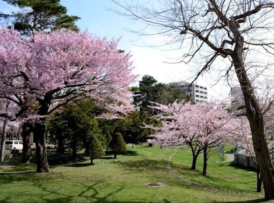 モエレ沼公園 北海道 札幌 人気お花見スポット 一休 Comレストラン モエレ沼公園 北海道 札幌 人気お花見スポット 一休 Comレストラン