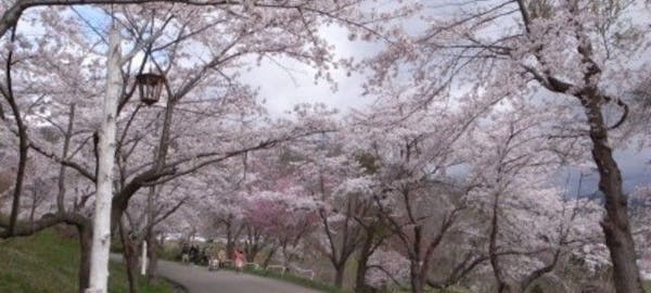 苫小牧お花見21 苫小牧 情緒あふれる桜景色を満喫 お花見おすすめ人気スポット7選 一休 Comレストラン 苫小牧お花見21 苫小牧 情緒あふれる桜景色を満喫 お花見おすすめ人気スポット7選 一休 Comレストラン