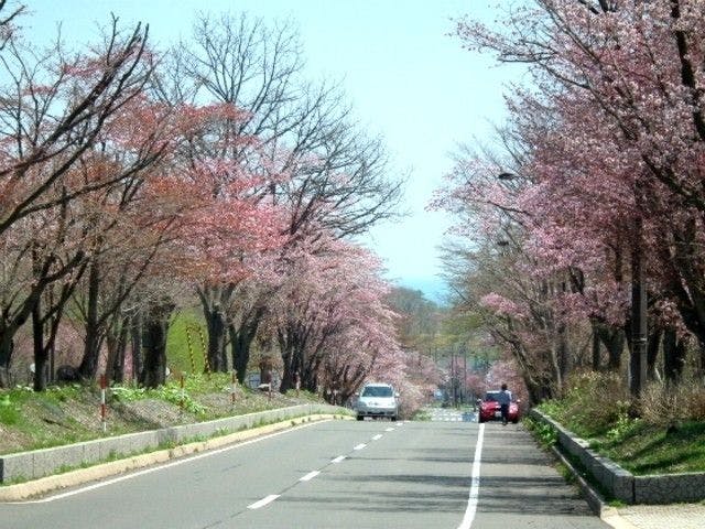 登別お花見21 登別 情緒あふれる桜景色を満喫 お花見おすすめ人気スポット9選 一休 Comレストラン