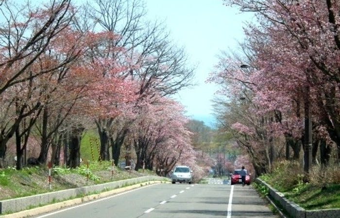 登別お花見21 登別 情緒あふれる桜景色を満喫 お花見おすすめ人気スポット9選 一休 Comレストラン 登別お花見21 登別 情緒あふれる桜景色を満喫 お花見おすすめ人気スポット9選 一休 Comレストラン