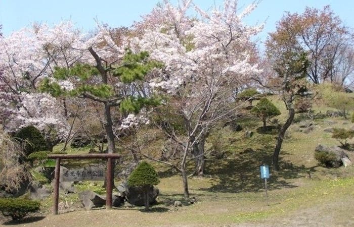 登別お花見21 登別 情緒あふれる桜景色を満喫 お花見おすすめ人気スポット9選 一休 Comレストラン 登別お花見21 登別 情緒あふれる桜景色を満喫 お花見おすすめ人気スポット9選 一休 Comレストラン
