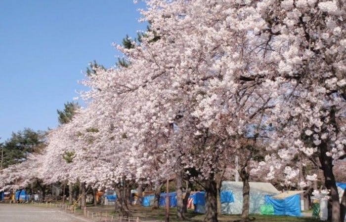 青森市お花見21 青森市 情緒あふれる桜景色を満喫 お花見おすすめ人気スポット3選 一休 Comレストラン 青森市お花見21 青森市 情緒あふれる桜景色を満喫 お花見おすすめ人気スポット3選 一休 Comレストラン