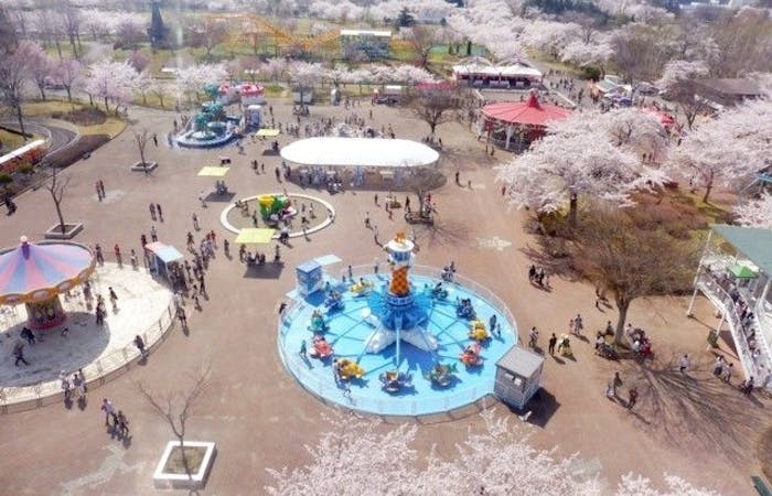 八戸お花見21 八戸 情緒あふれる桜景色を満喫 お花見おすすめ人気スポット5選 一休 Comレストラン